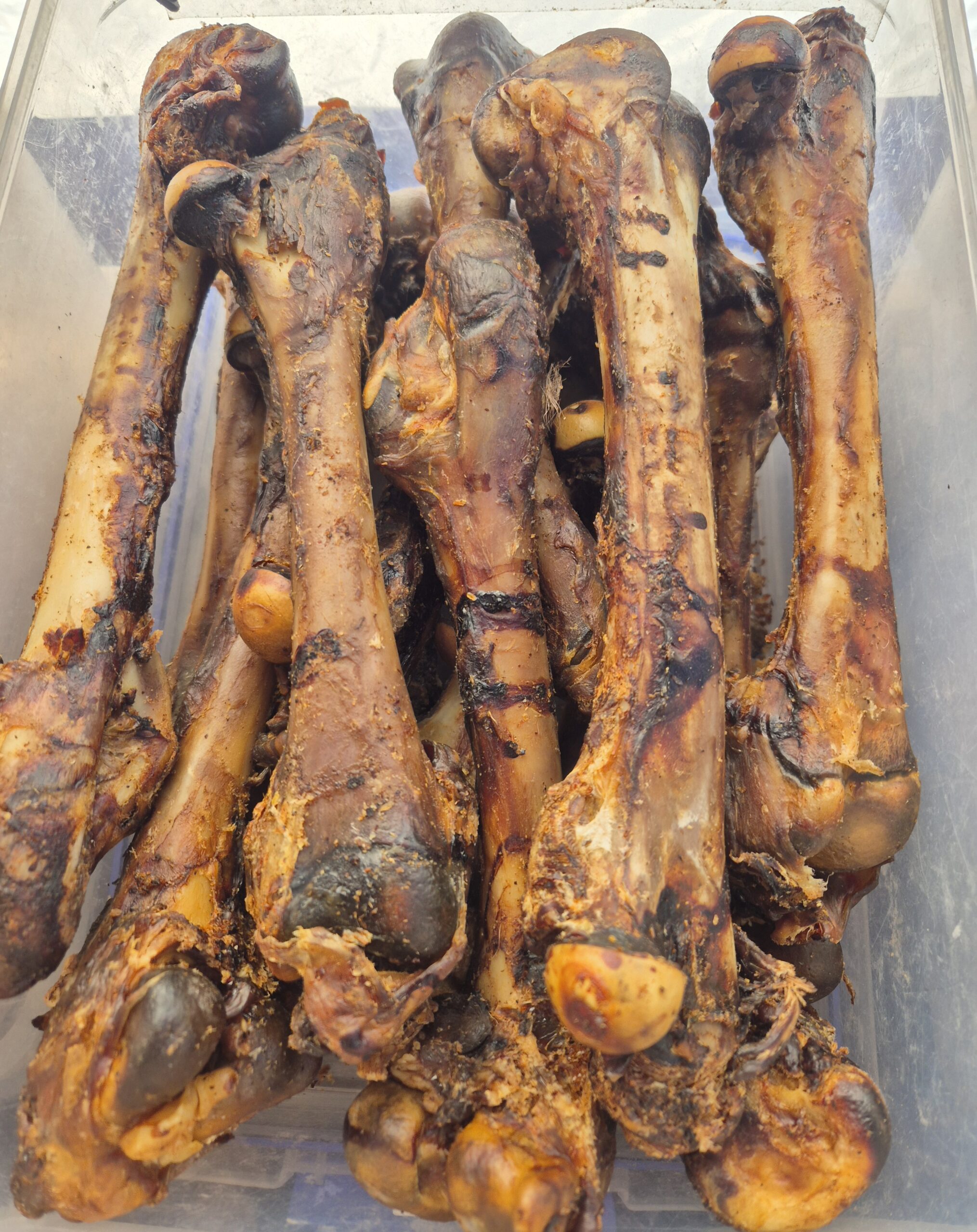 Kangaroo Bones - Image 4
