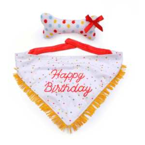 Zippy Paws Birthday Gift Set for Dogs - Bandana & Bone 2-Pack